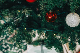 Ornaments on a Christmas Tree  image 15