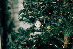 Ornaments on a Christmas Tree  image 2