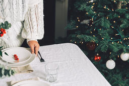 Woman Setting the Table for Christmas Dinner  image 2