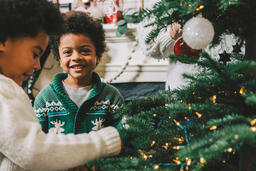 Kids Decorating the Christmas Tree Together  image 10