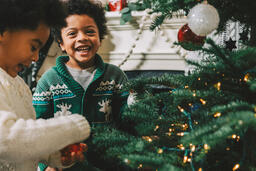 Kids Decorating the Christmas Tree Together  image 8