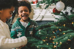 Kids Decorating the Christmas Tree Together  image 9