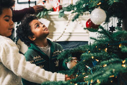 Kids Decorating the Christmas Tree Together  image 3