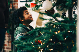 Child Decorating the Christmas Tree  image 2