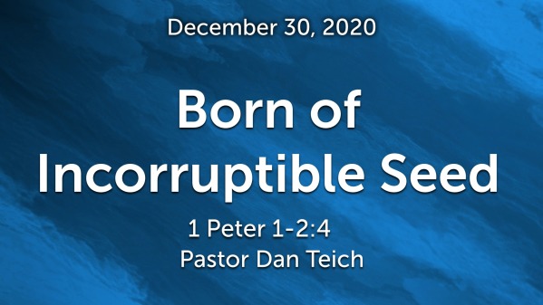 born-of-incorruptible-seed-logos-sermons