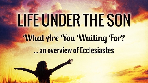 Life Under the Son (Ecclesiastes)