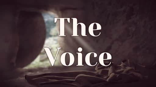 THE VOICE