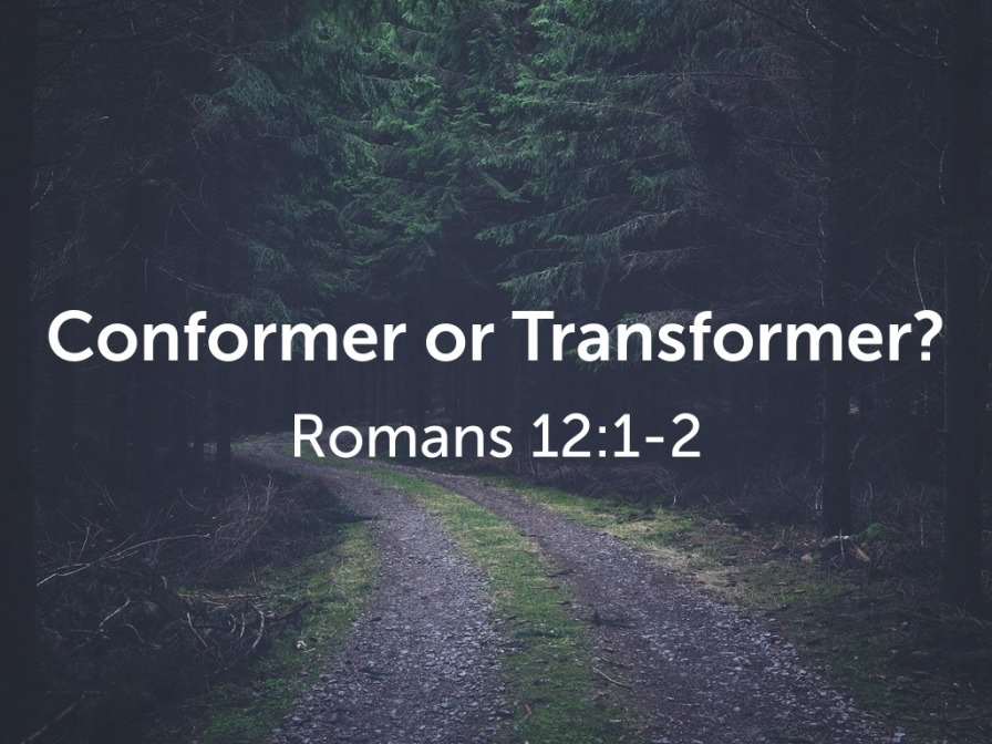 The Secret To Accurate Conformer Translation - j2f6k0t