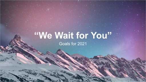We Wait for You (Goals for 2021)