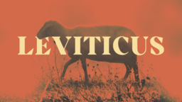 Leviticus Orange  PowerPoint image 1