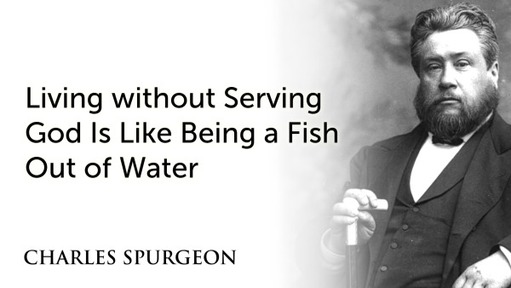 Living without Serving God Is Like Being a Fish Out of Water