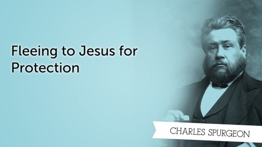 Fleeing to Jesus for Protection