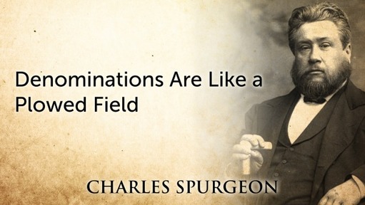Denominations Are Like a Plowed Field