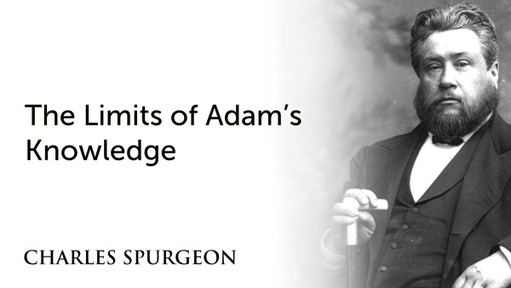 The Limits of Adam’s Knowledge