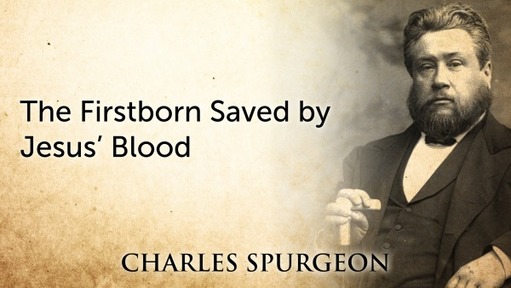 The Firstborn Saved by Jesus’ Blood