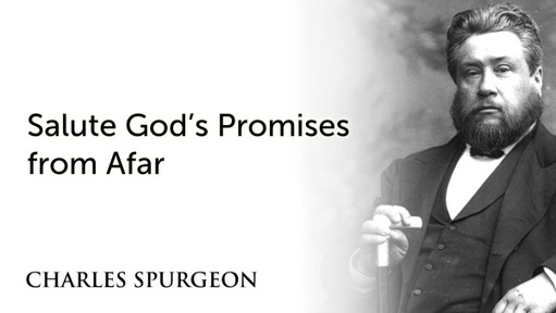 Salute God’s Promises from Afar