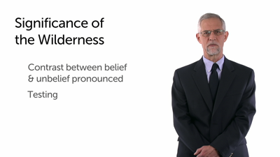 The New Testament and the Wilderness
