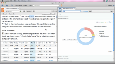 Detecting and Using Word Relationships in Interpretation