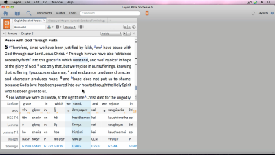 How to Detect the Original Language Form (Morphology) of Words