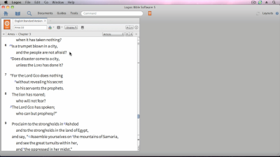 An Example of the Disputation Subgenre