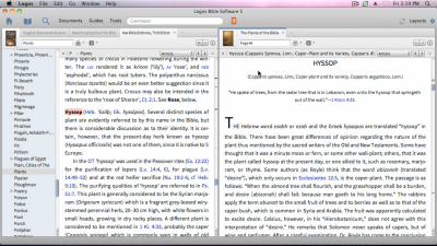 Monographs for Studying Ancient Background Context