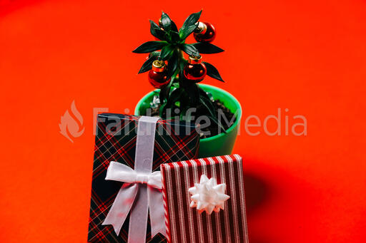 Tropical Plant with Christmas Ornaments and Gifts