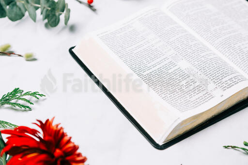 Open Bible with Christmas Florals