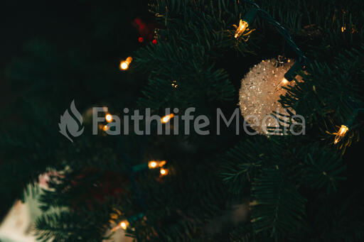 Ornaments on a Christmas Tree