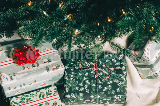 Christmas Gifts Under the Tree