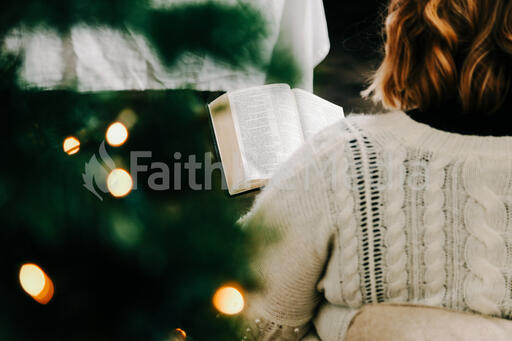 Woman Reading the Bible in Front of the Christmas Tree