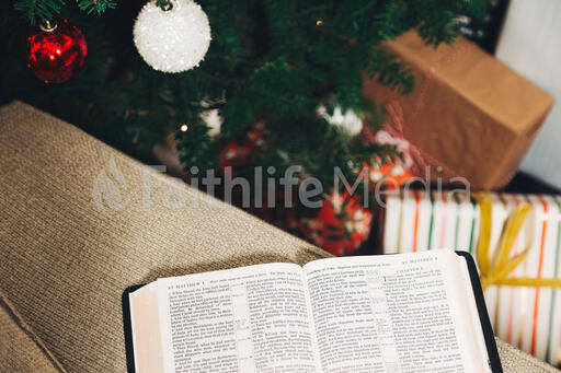 Open Bible in Front of the Christmas Tree