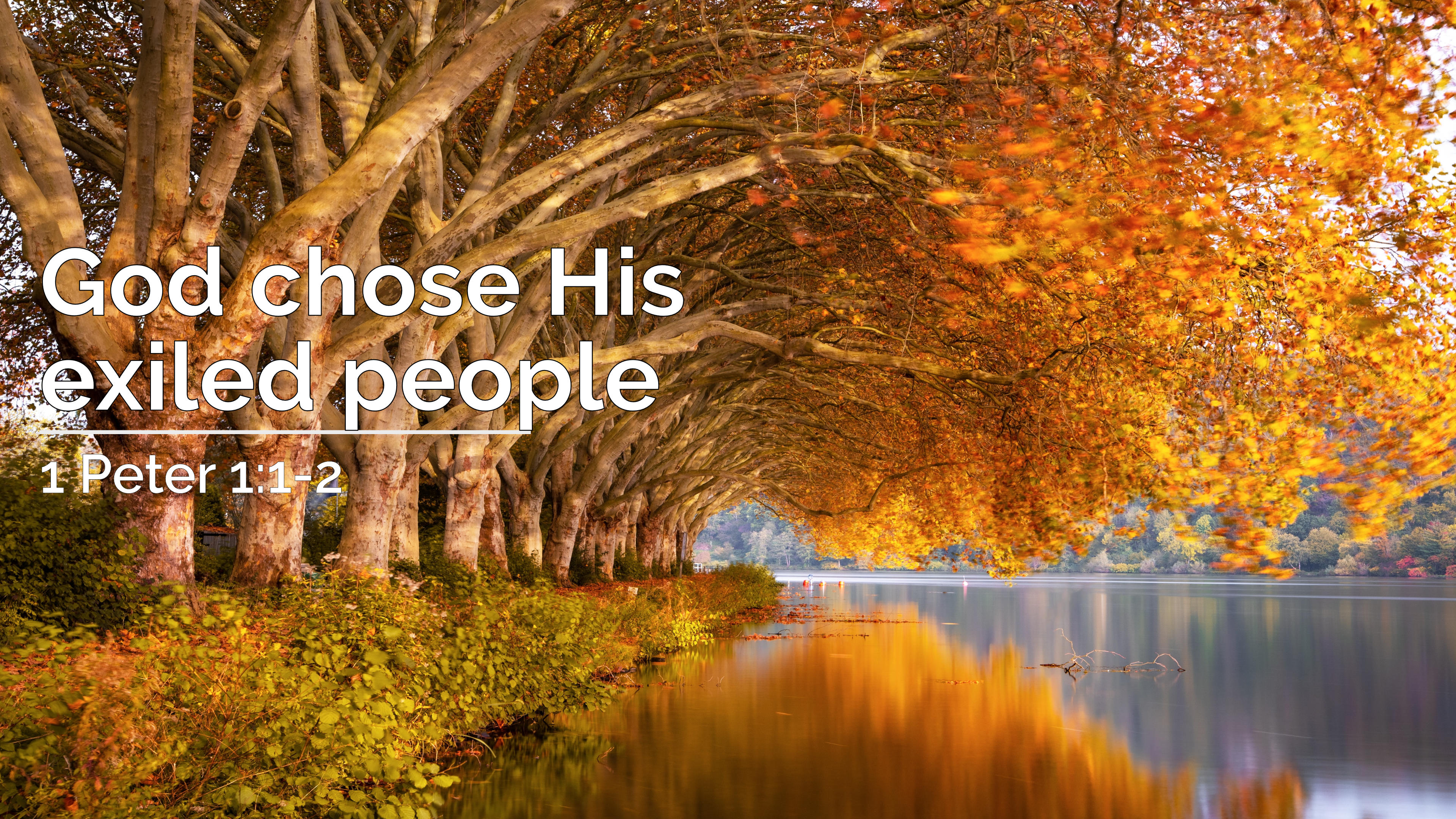 God Chose His Exiled People 1 Peter 1 1 2 17 May 2020 AM Logos god-chose-his-exiled-people-1-peter-1-1-2-17-may-2020-am-logos
