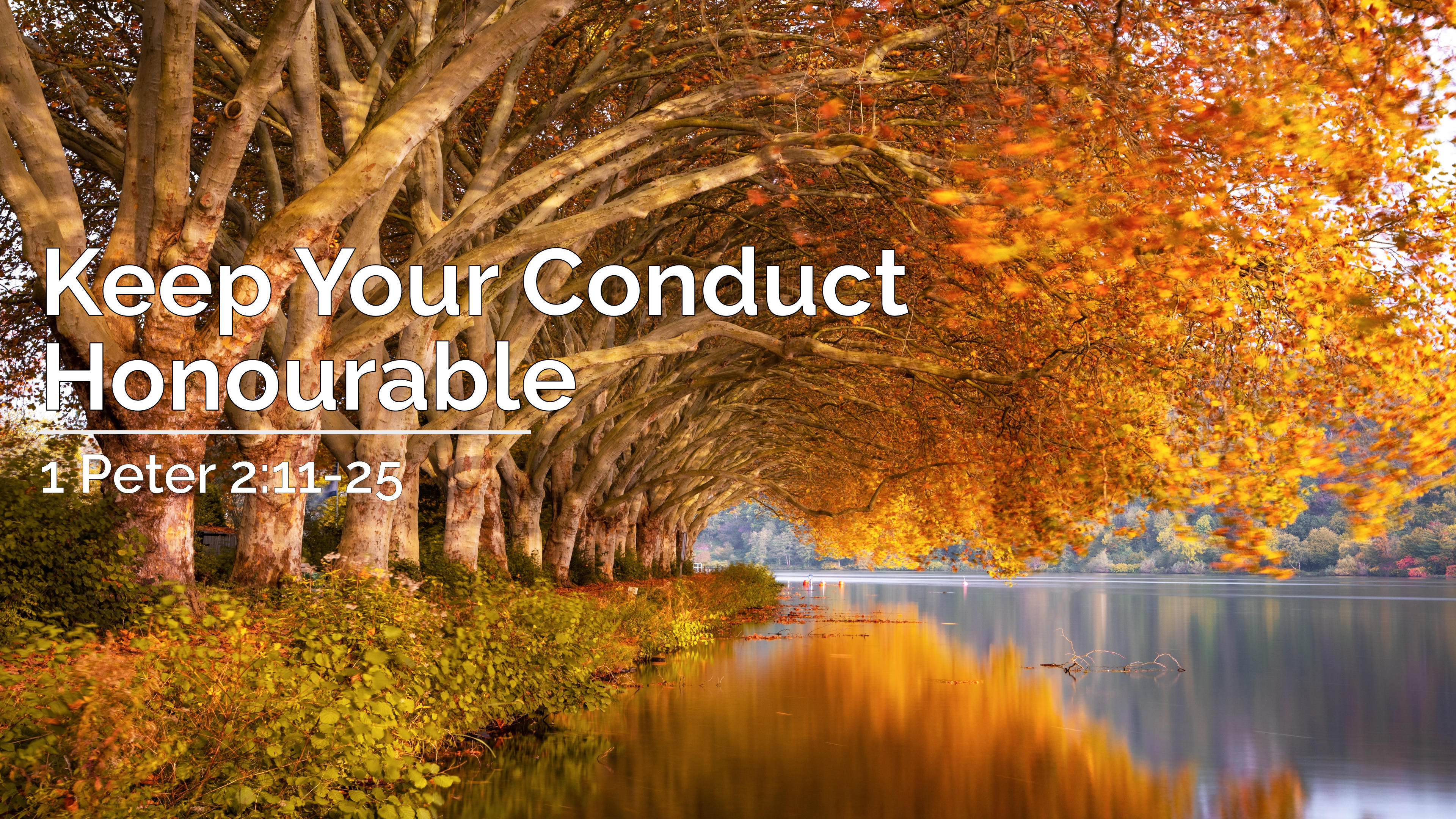 Keep Your Conduct Honourable | 1 Peter 2:11-25 | 12 July 2020 AM