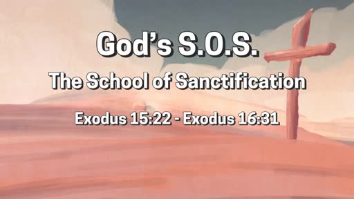 The School of Sanctification