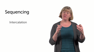 The Discourse Level: More Sequencing Strategies