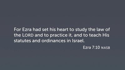 What Is Exegesis?
