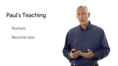 The Teaching of Paul