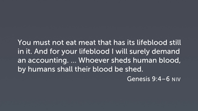 Blood and Bloodshed?