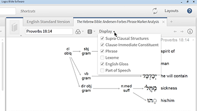 Analyzing the Structure of Hebrew Poetry