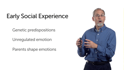 Other Factors Influencing Social Development