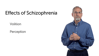 Biopsychosocial Elements as Components of Psychopathology