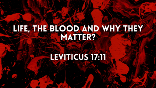 Life, the Blood and Why They Matter? - Leviticus 17:11