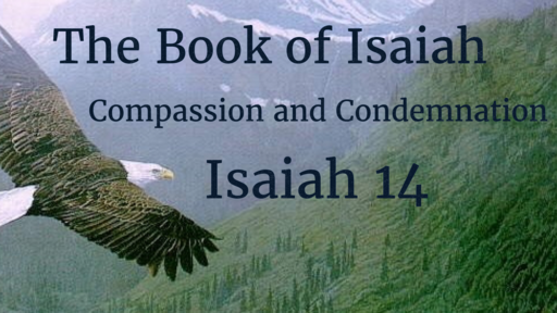 January 17, 2021 Compassion and Condemnation