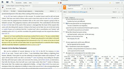 Interpreting the Use of the Pual