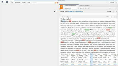 Identifying Verbal Stems and Conjugations