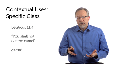 Definite Article: Species or Class
