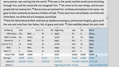 Information Included in an Interlinear