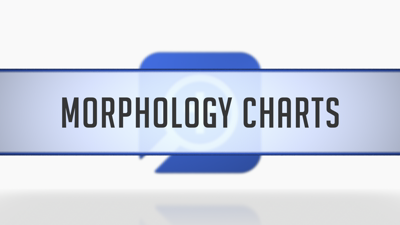 Morphology Charts