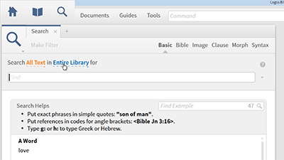 Basic Search on Protestant Clergy-Laity Dualism