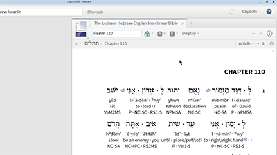 Using Interlinears to Explore a Verse in the Original Language